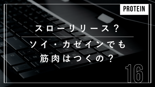 ソイプロテイン　カゼインプロテイン　